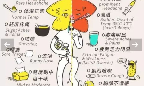 补肾益气胶囊能壮阳吗-补肾益脑胶囊适宜人群网 | 补肾益气胶囊多少一盒,补肾益气胶囊能壮阳吗